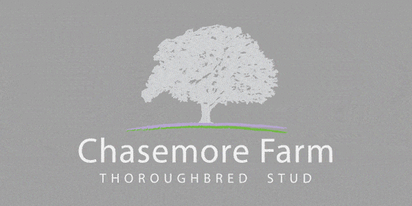 chasemore footergif gmbloodstock rp 600x300px