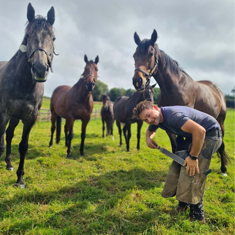 Featured image for “Q&A – Harry Priestley, Farrier”