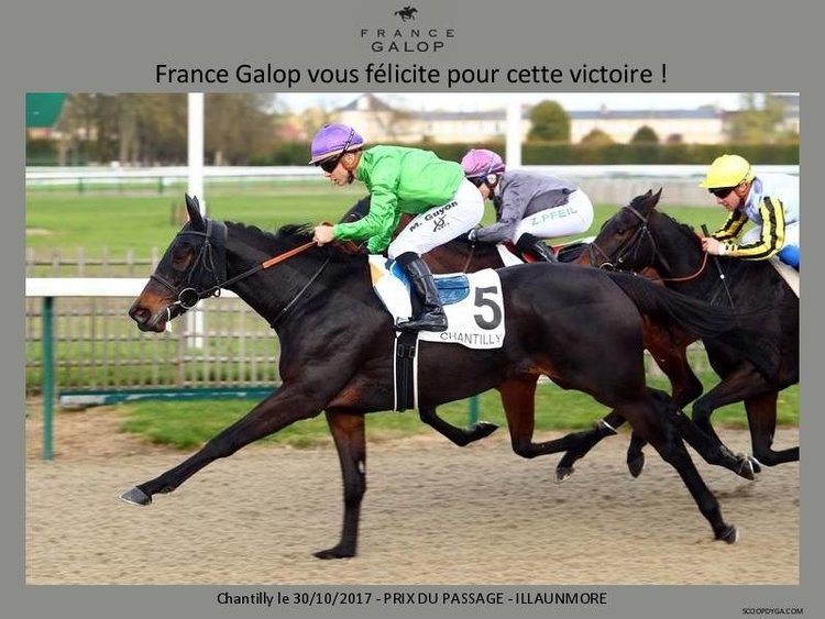 Two-French-winners-in-two-days-for-Chasemore-Farm