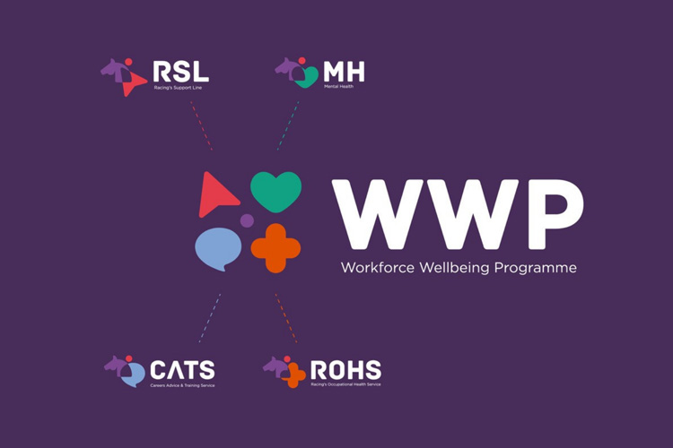 Featured image for “Workforce Wellbeing Programme”